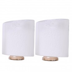 Pair of ovoid frosted glass lamps